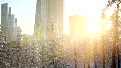 sity-and-forest-in-snow-at-sunrise